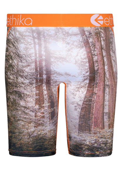 ETHIKA X STAY COUNTRY HUNTIN’ LAND BRIEF